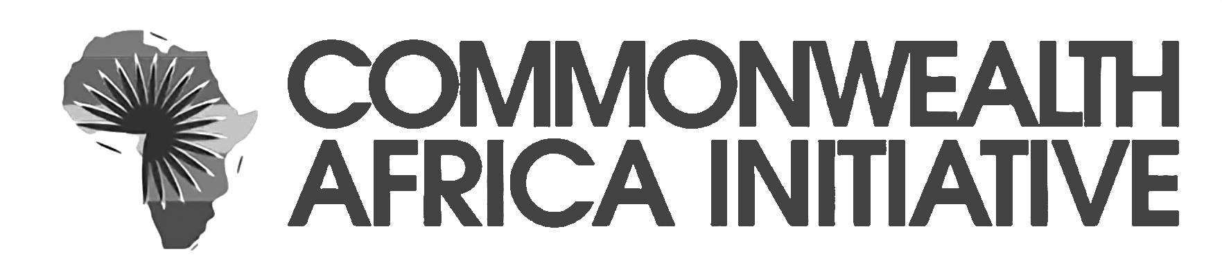 Commonwealth Africa Initiative